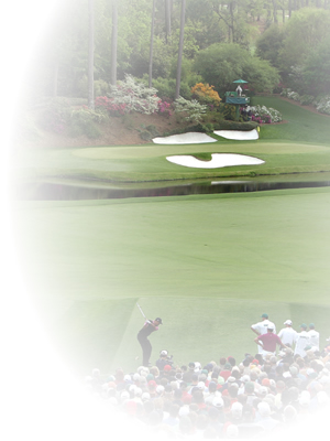 PGA Golf Majors Pool